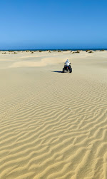 Mambrui Sand Dunes Golden Beach camel rides